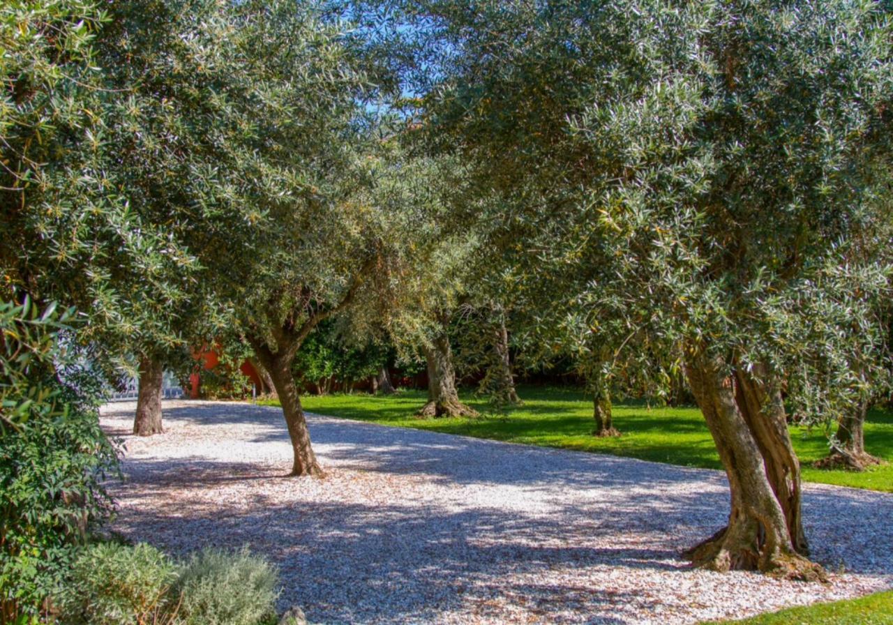Suite Agave Seravezza Exteriér fotografie