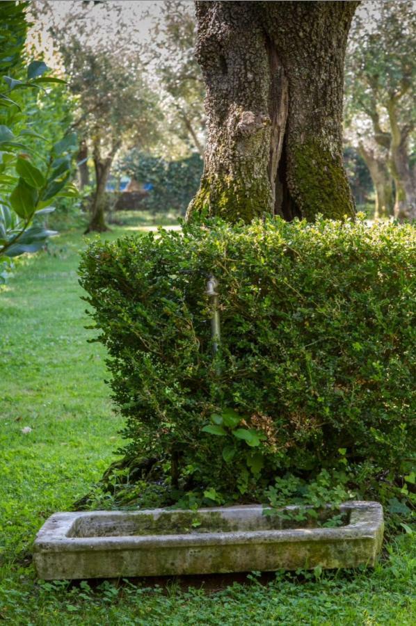 Suite Agave Seravezza Exteriér fotografie